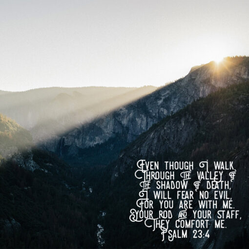 Psalm 23:4 - I Will Fear No Evil - Bible Verses To Go