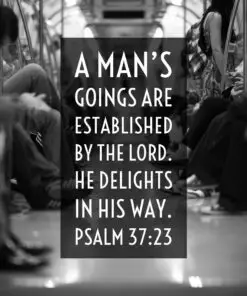 Psalm 37:23 - Man's Goings Established by the Lord