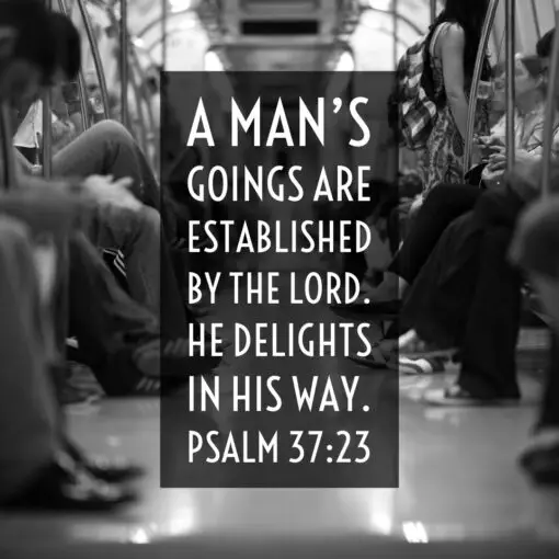 Psalm 37:23 - Man's Goings Established by the Lord