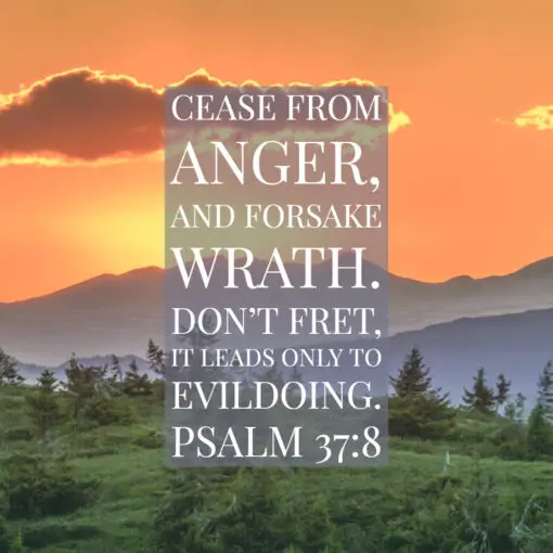 Psalm 37:8 - Cease from Anger and Forsake Wrath - Bible Verses To Go