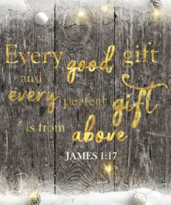 James 1:17 - Every Good and Perfect Gift - Bible Verses To Go