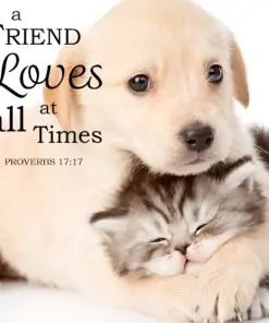 Proverbs 17:17 - A Friend Loves - Bible Verses To Go