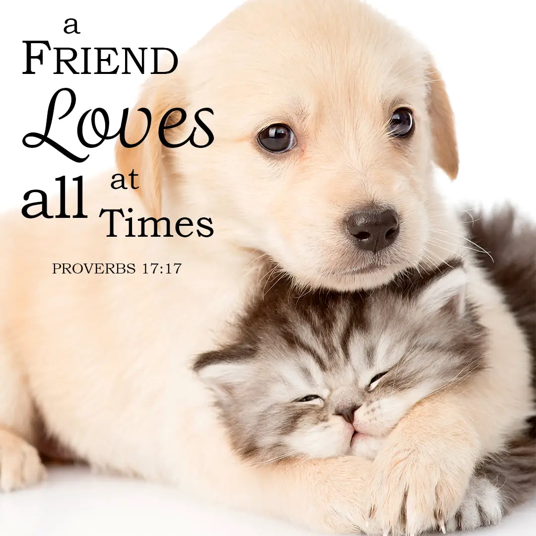 Proverbs 17:17 – A Friend Loves - Encouraging Bible Verses